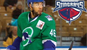 Bulldogs Reassign Duffy to Wheeling, Sign Owens to PTO