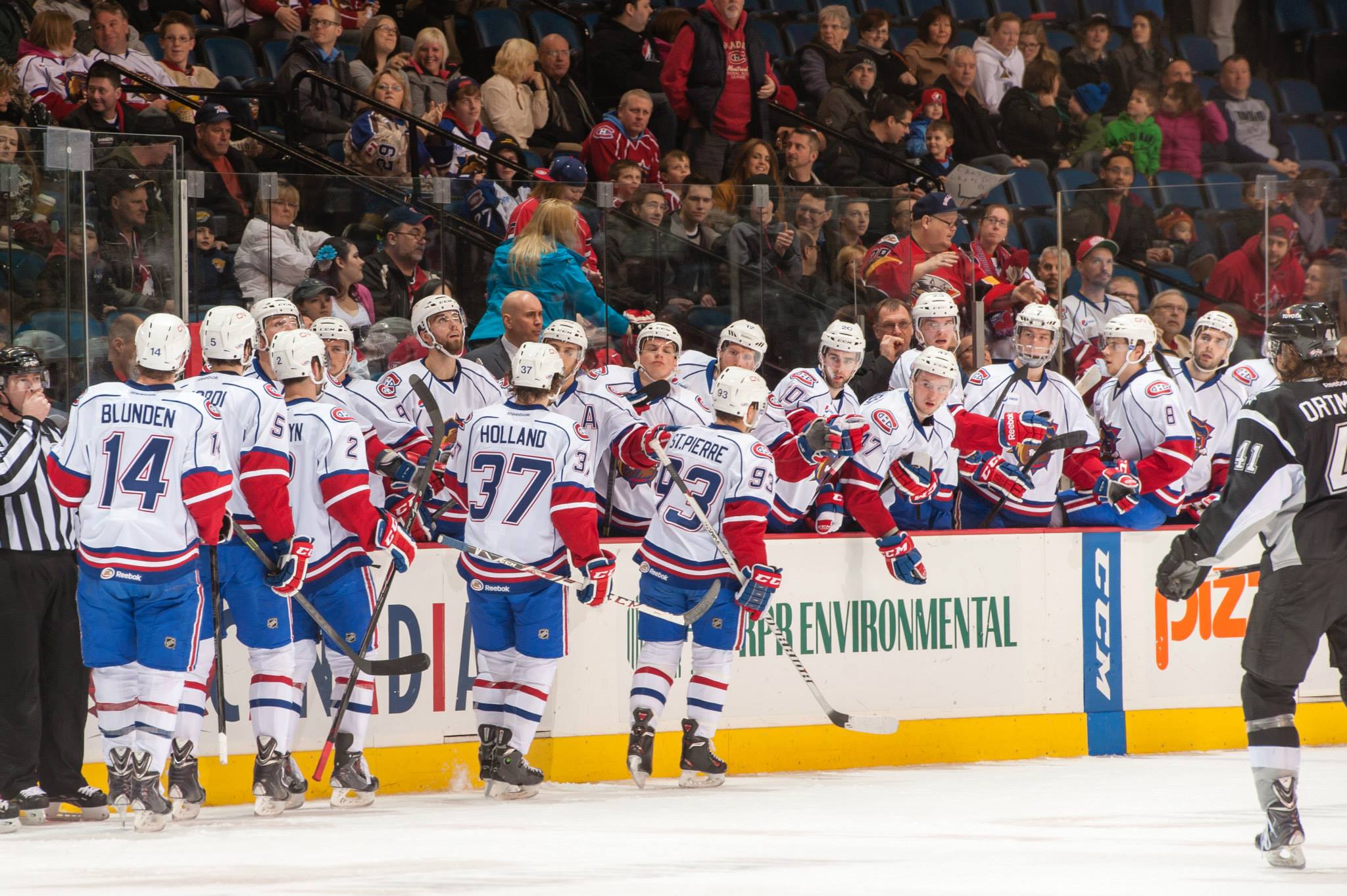 A First Look at Hamilton Bulldogs 2014-15 Lineup | AHL Report