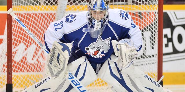 Bulldogs Assign Goaltender Palazzese to Wheeling Nailers