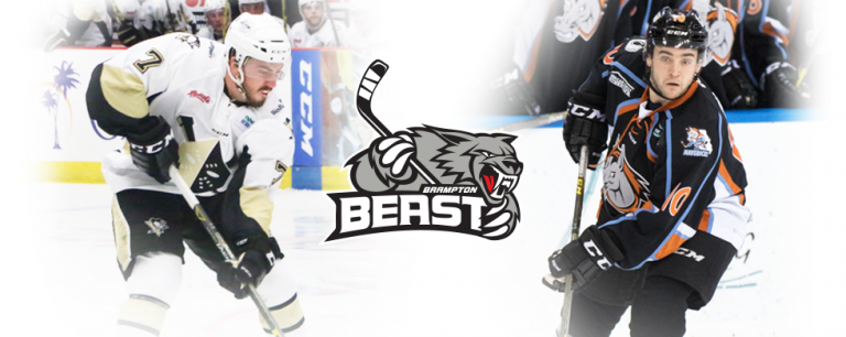 Beast Acquire Offensive Defenceman Owens, Forward Leen