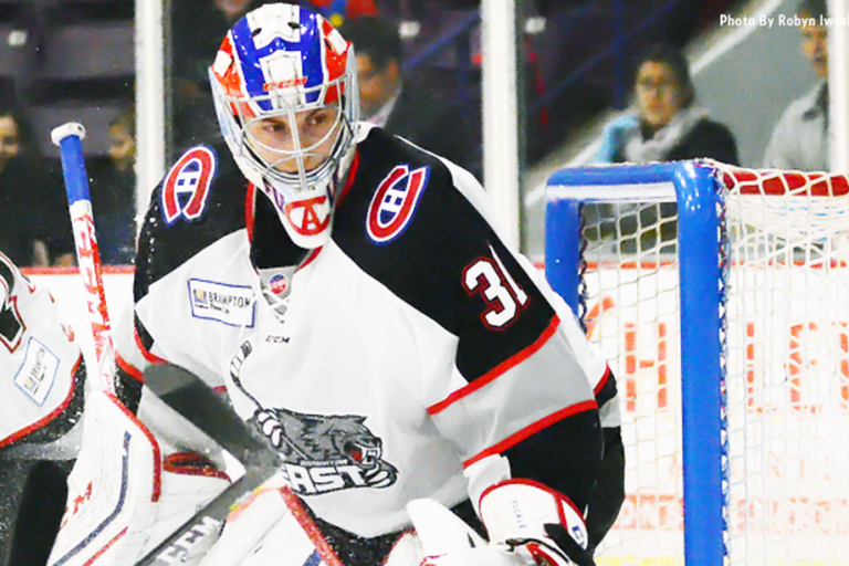 Fucale With A Successful Debut For Brampton Beast