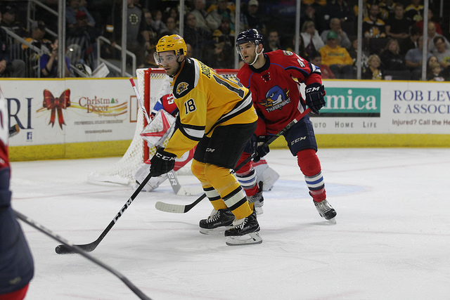 AHL Report Headlines | Puempel, Sproul, Outdoor Alumni Game, Hall of Fame Class, Agostino