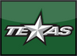 Texas recap logo